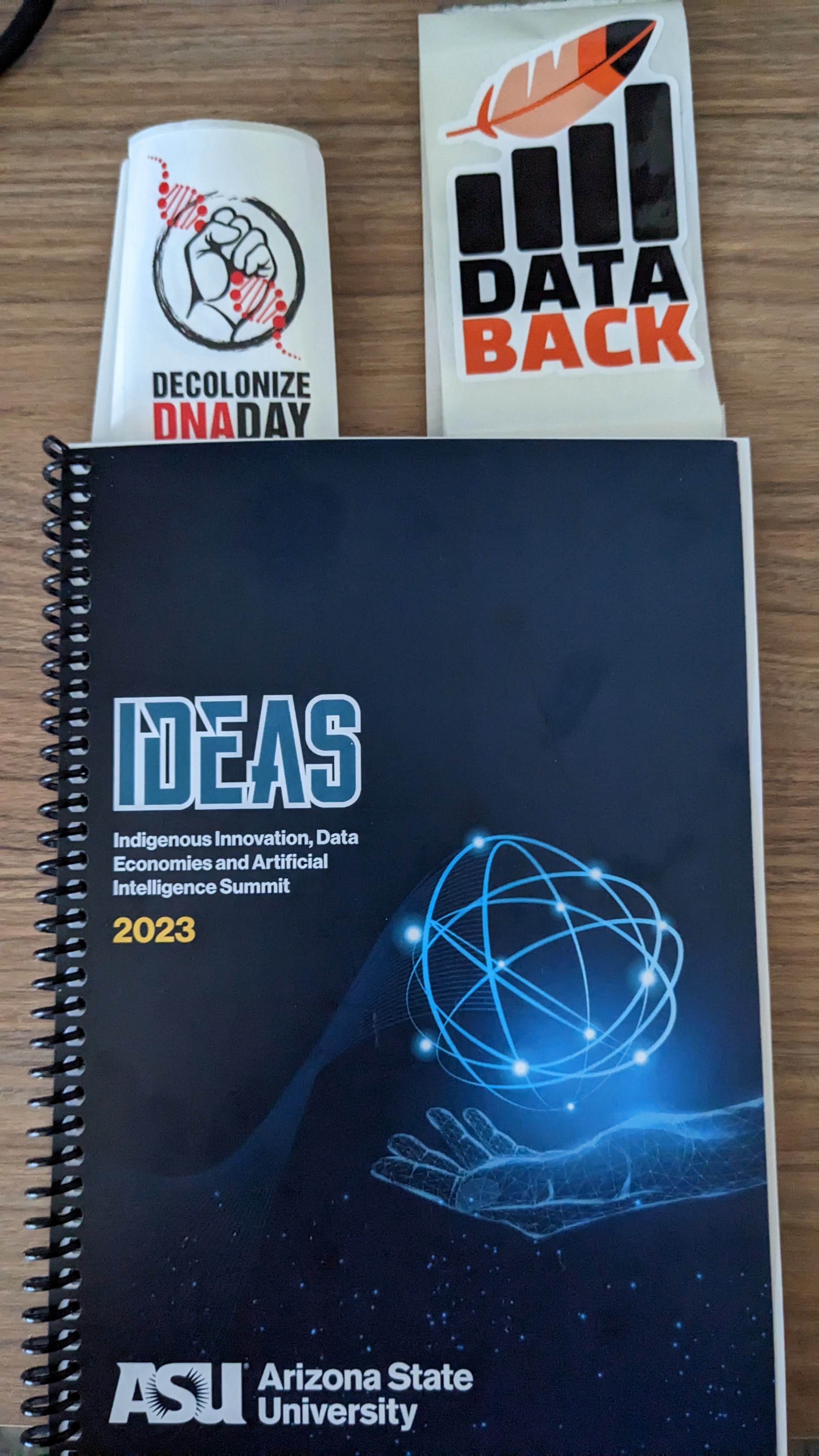 Photo of IDEAS program